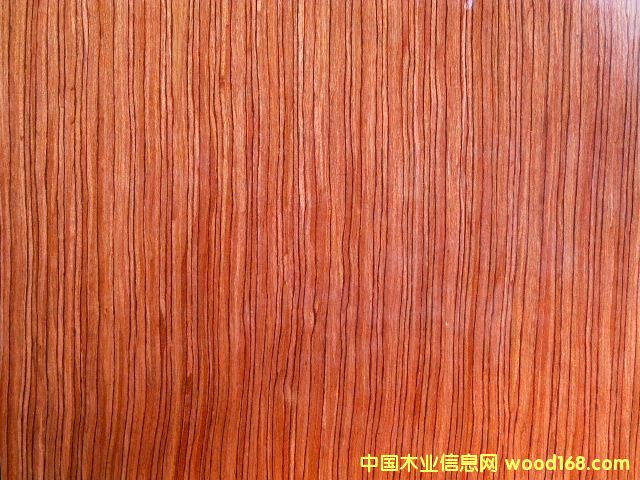 ����Ȼ��̴ֱ�Ƶ���ϸ����