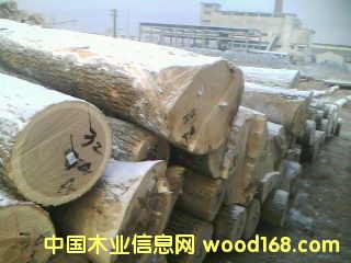 特优水曲柳原木`的详细介绍