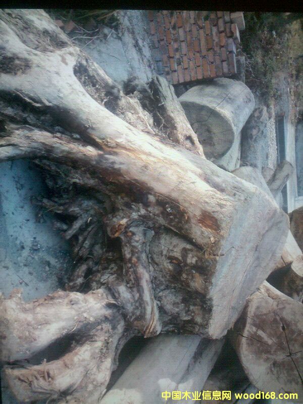 ����鿴�ľ�Ŵ�ͼƬ