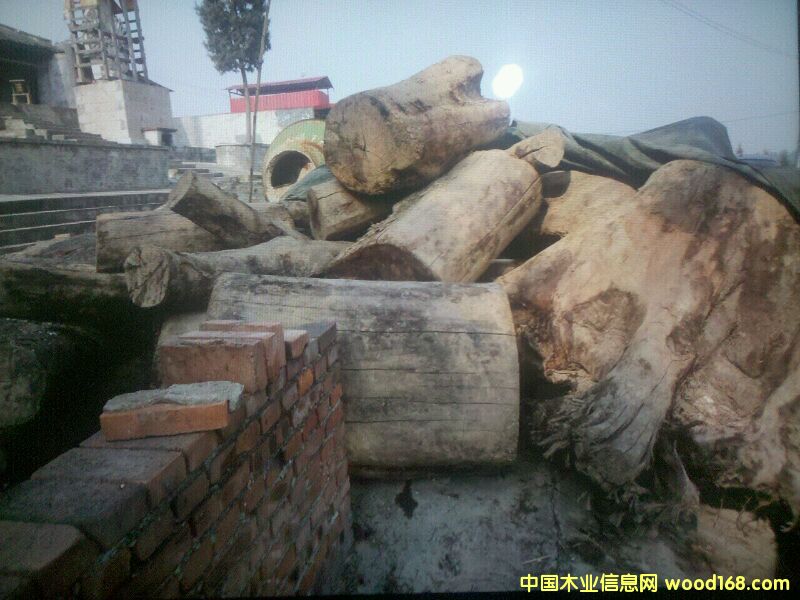 ����鿴骷Ŵ�ͼƬ