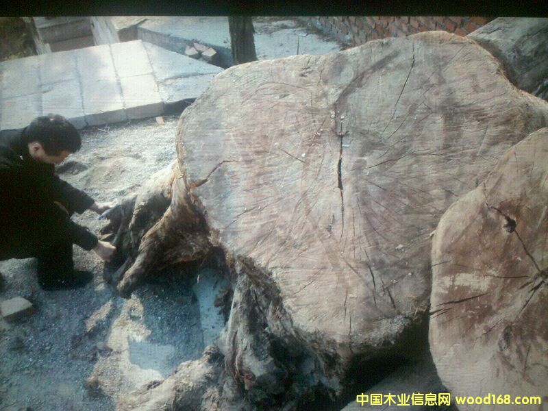 ����鿴骷Ŵ�ͼƬ