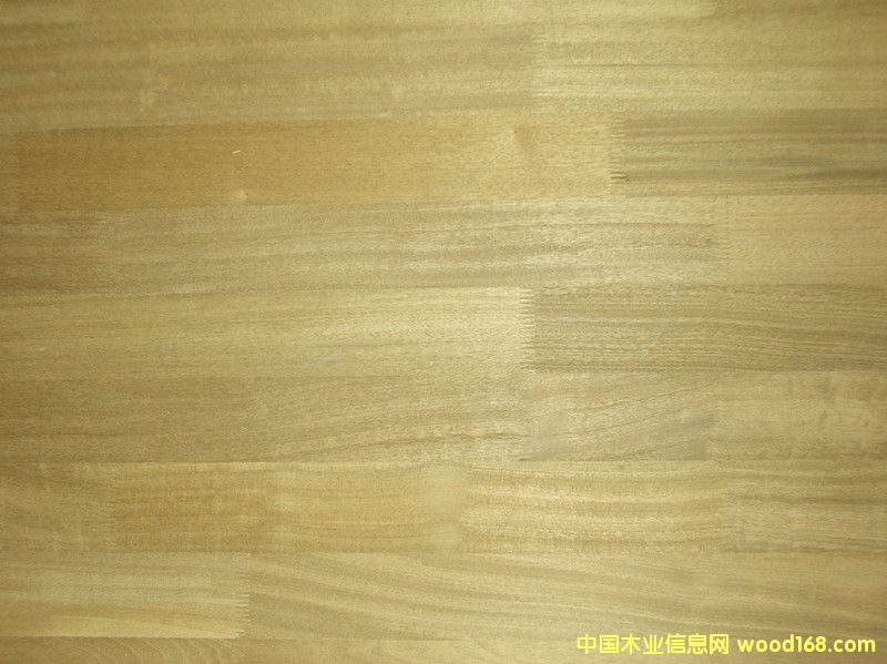 ����ָ�Ӱ����ϸ����