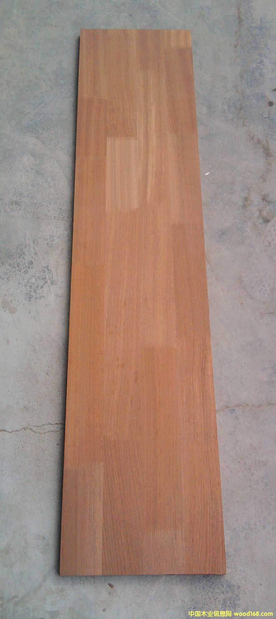 ����ָ�Ӱ����ϸ����