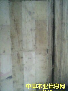 ָ��ģ�����ϸ����