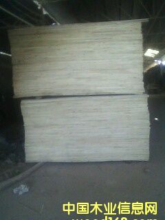 ֱ��ģ�����ϸ����