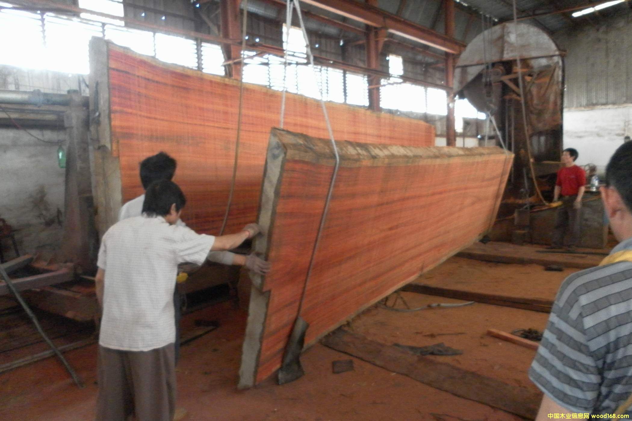 �춹ɼ�����100����