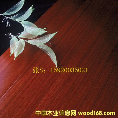 [] ̴㣨֬ľʵľϵذ