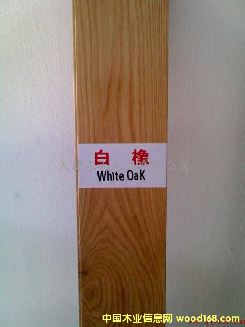 ����鿴����ľ��ķŴ�ͼƬ