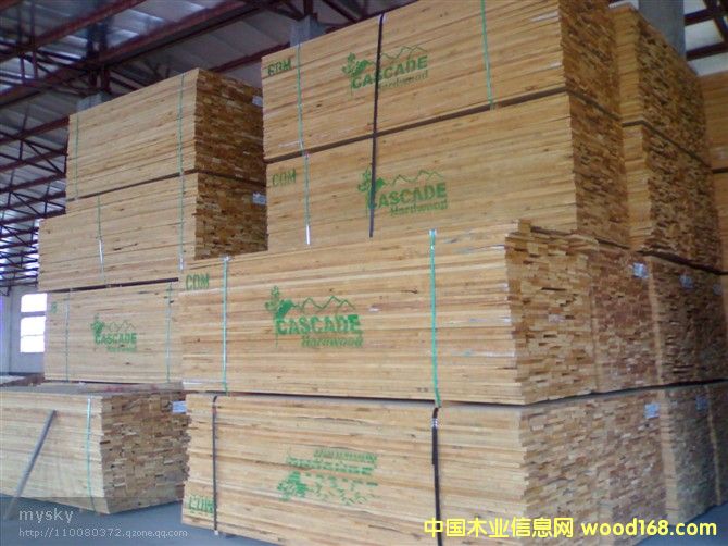 ����鿴����ľ��ķŴ�ͼƬ