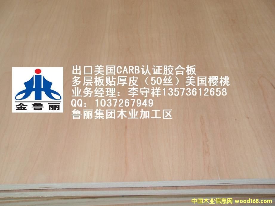 ��Ƥӣ�����潺�ϰ�