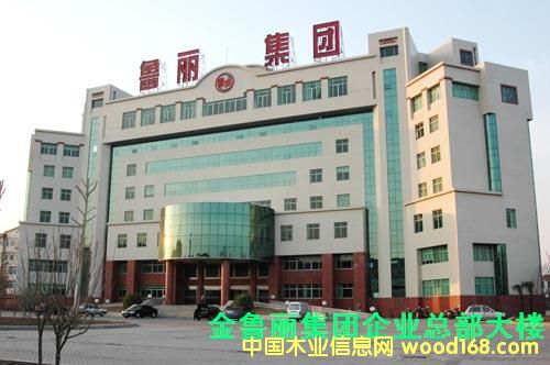 山东鲁丽集团有限公司的详细介绍