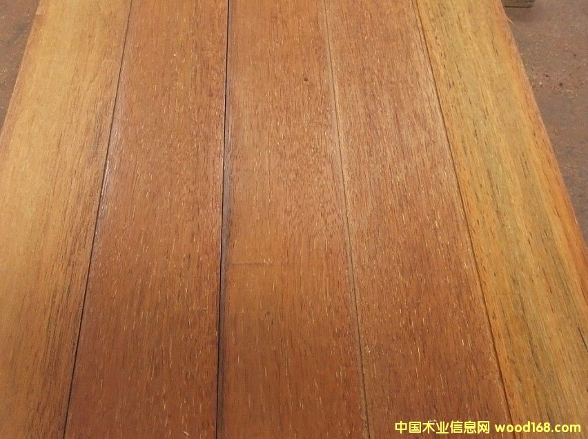 [] ľľľģľľľԭľľǮһ?