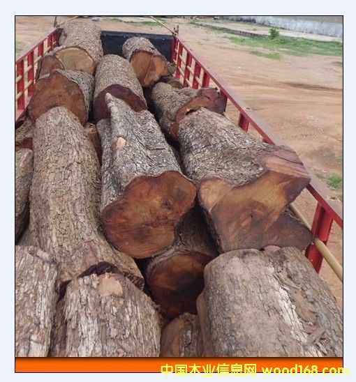 加纳亚花梨原木 加纳亚花梨原木