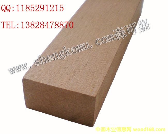 [] ɫѡ㶫ɭɼ̬ľľľ̿ľ