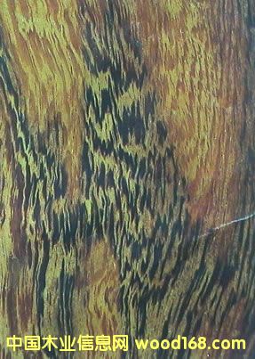 ľ󼦳С鼦ľ-ڱشϸ