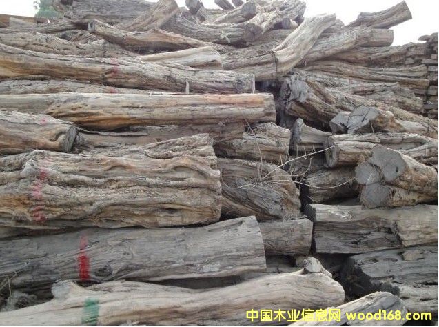 Ǻڻ̴/ľ/Ϲ̴--ڱشϸ