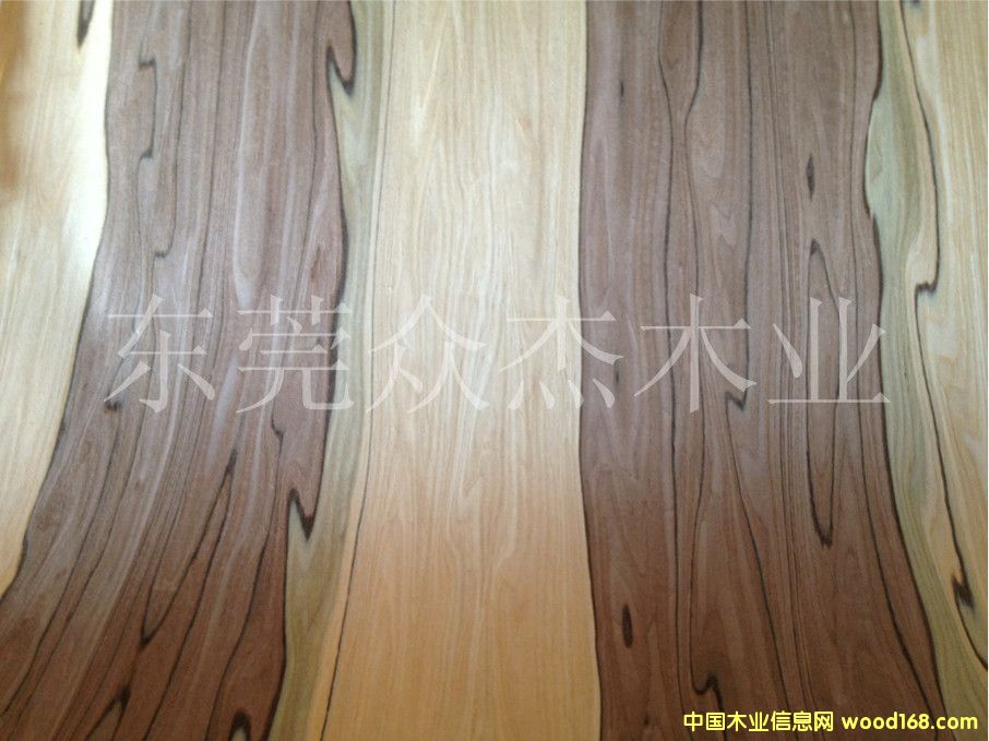 EV��ƻ��ľƤ