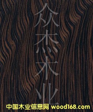 ����ľƤ��̴����������