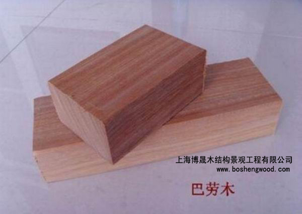 巴劳木的详细介绍