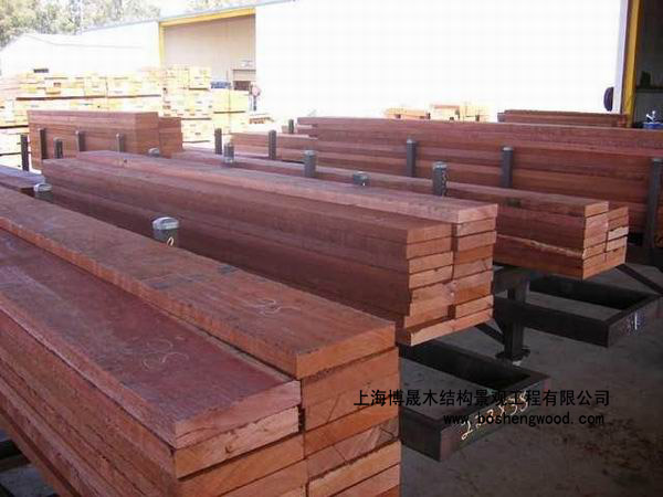 红柳桉的详细介绍