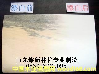 ù��ľƤר��Ư�׼�