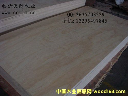 ���������潺�ϰ�/�Ҿ߰�