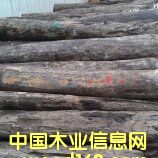 �����˹��¬�Ϻڻ�̴