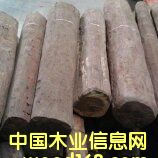 �Ჴ����Ҷ��̴