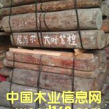 �Ჴ����Ҷ̴