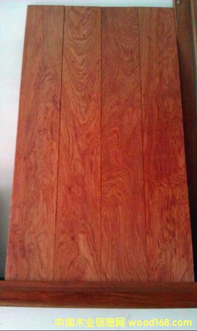 ������ľ�ذ�