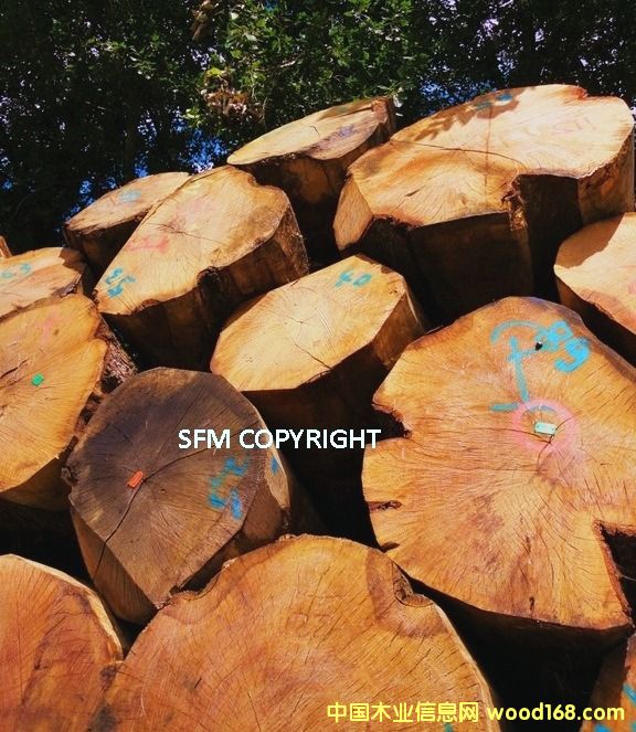 ŷPEFCԭľϸ