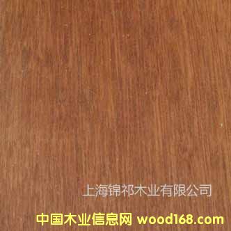 山樟木的详细介绍