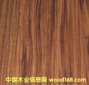 ����鿴���ܸ�Ŵ�ͼƬ