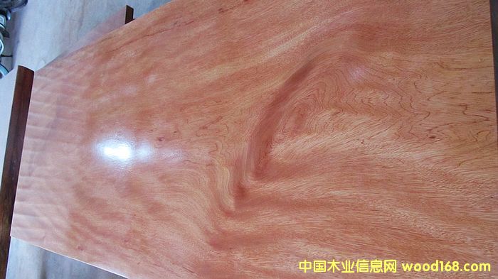 ����ľ���/ʵľ���/���ǹ����