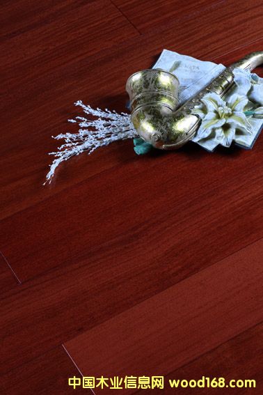 ·ƹӦ֬ľʵľذ ̴ʵľϵذ