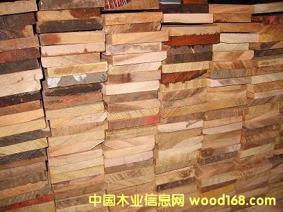 ӡᲤܸذ壬ɶӡᲤܸ 