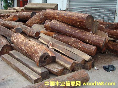 ڶ/˼ľacaciaԭľľڱصϸ