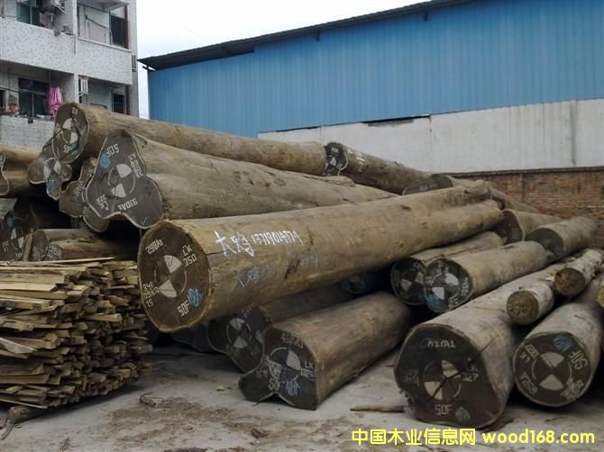 ڷ޴ڼ /Сڼԭľľڱصϸ