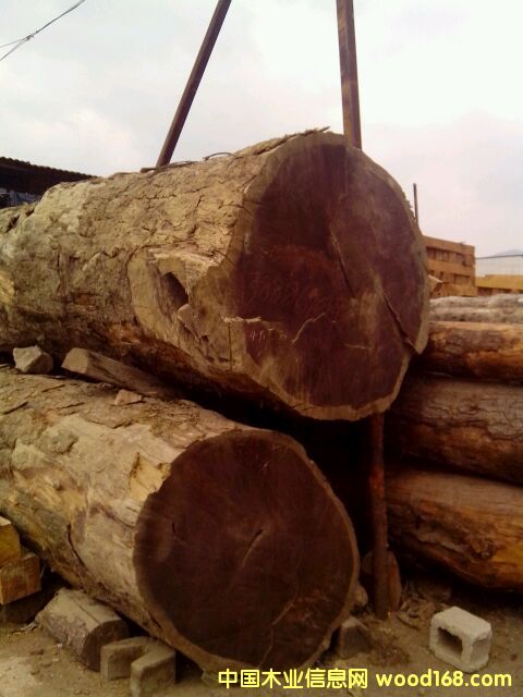 ��˿�ľ���ϣ���骣�