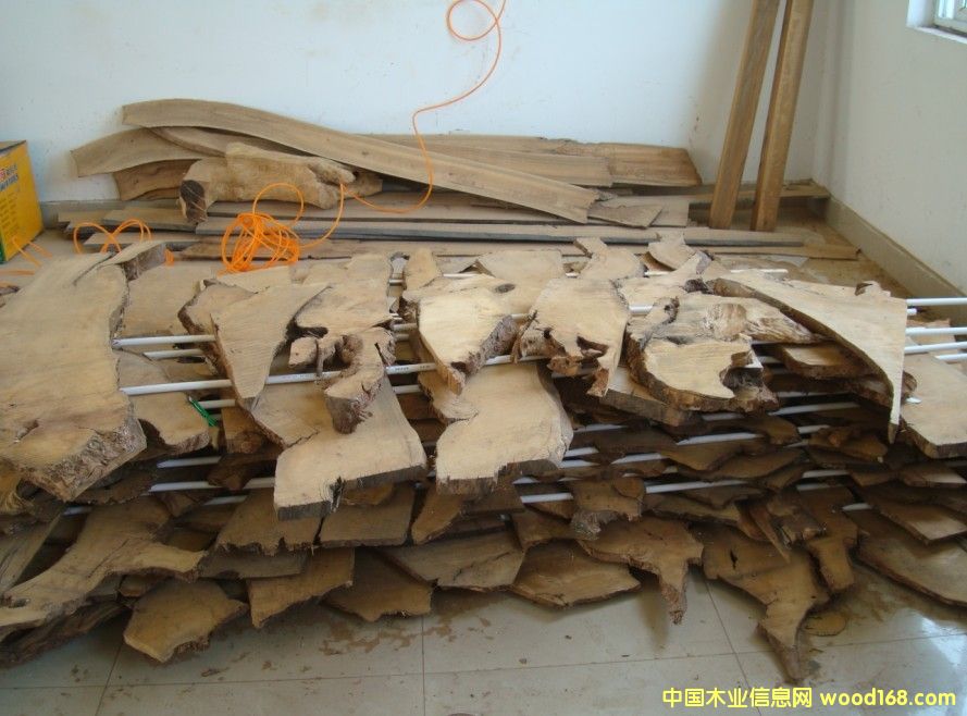 ��˿�ľ����