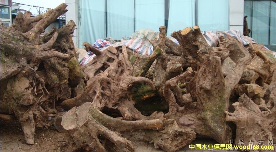 ��˿�ľ��׮