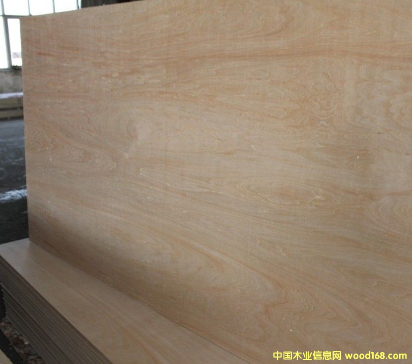 椴木的详细介绍