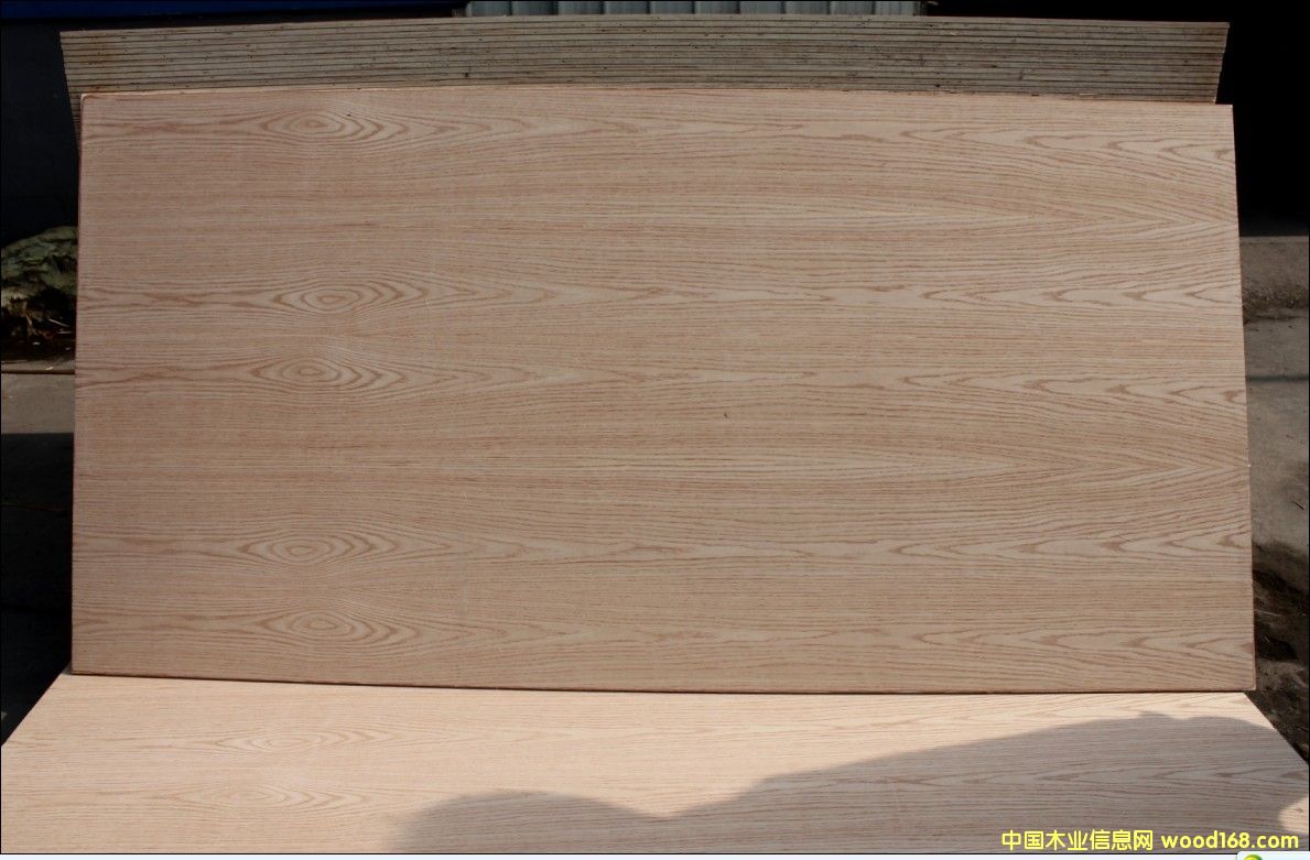 红橡的详细介绍