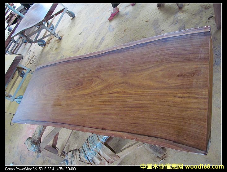 Ӧľ/ʵľԭľ/칫////