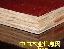 ��ľ���1����ϸ����