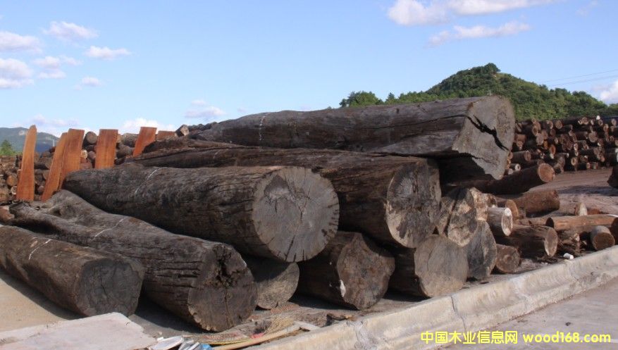 ����ɽ����̴