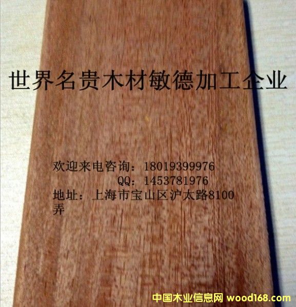 柳桉木的详细介绍