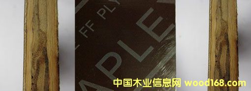 ����ר��ģ�����ϸ����