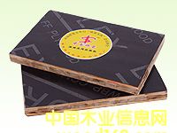 ����ģ�����ϸ����