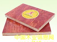 ��ǿ��ľ���ϰ����ϸ����